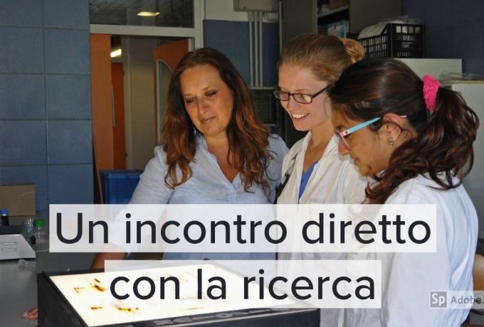 presentazione_dbcf